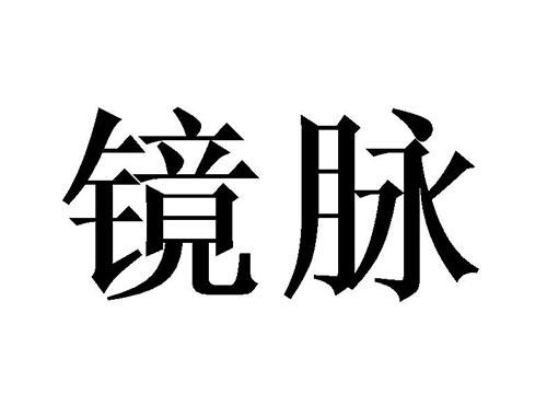镜脉