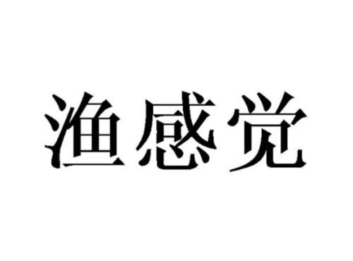 渔感觉