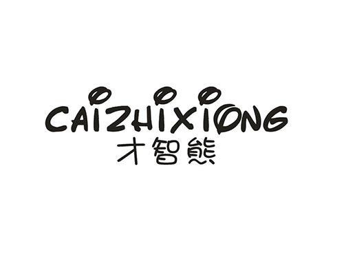 才智熊