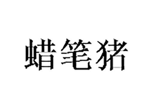 蜡笔猪