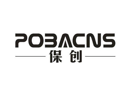保创