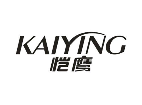 恺鹰