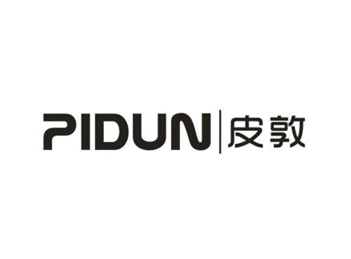 皮敦