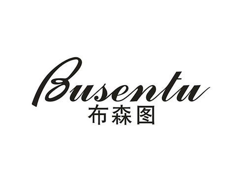 布森图