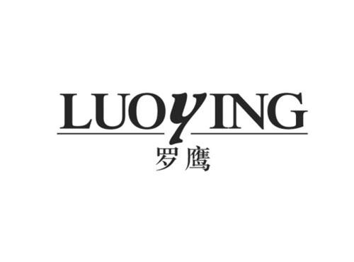 罗鹰