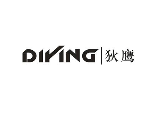 狄鹰