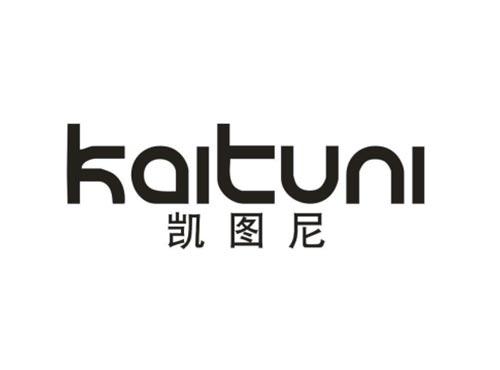 凯图尼