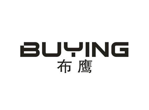 布鹰