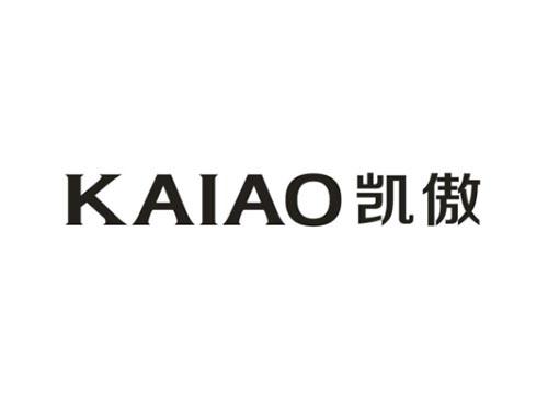 凯傲