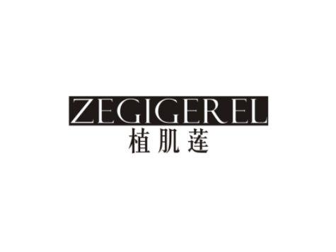 植肌莲ZEGIGEREL