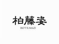 柏藤姿