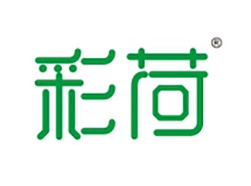 彩荷