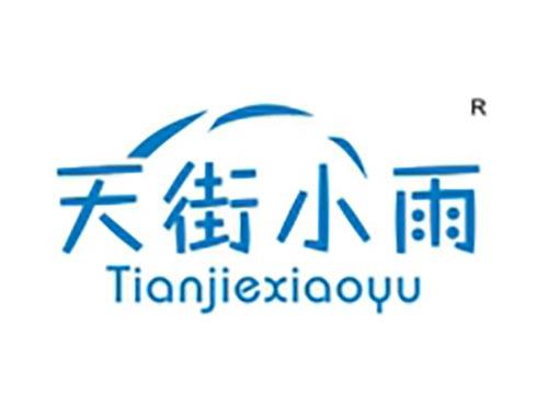 天街小雨