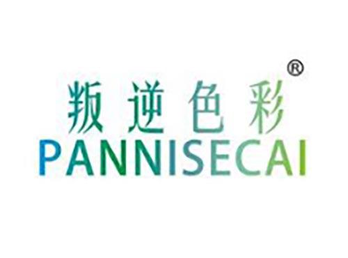 叛逆色彩