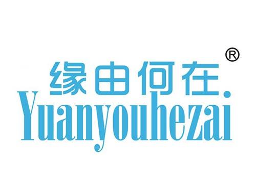 缘由何在