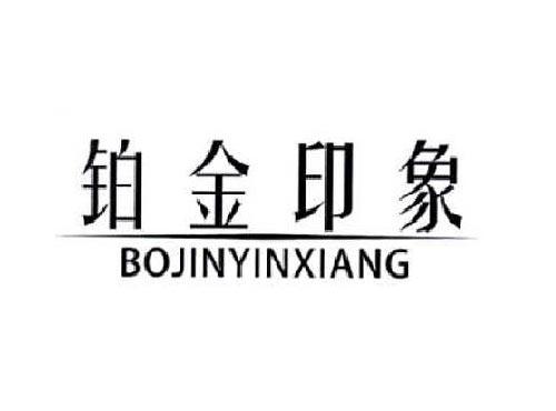 铂金印象