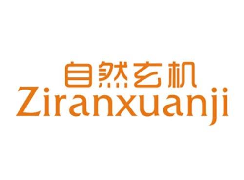 自然玄机
