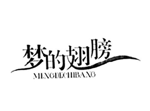 梦的翅膀