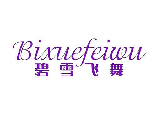 碧雪飞舞