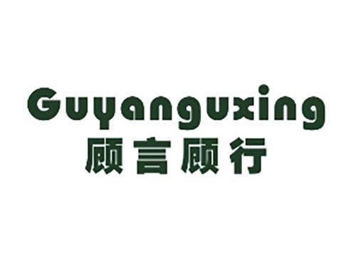 顾言顾行