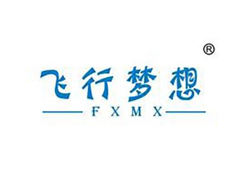 飞行梦想