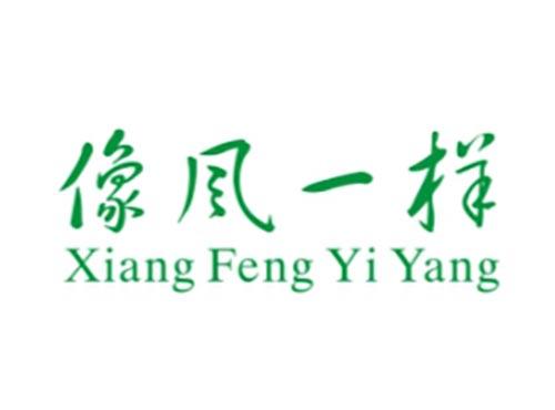 像风一样