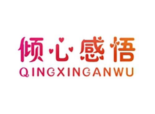 倾心感悟