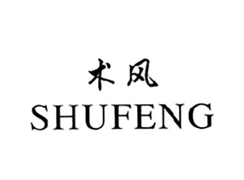 术风