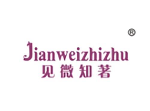 见微知著