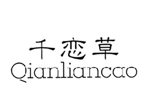 千恋草
