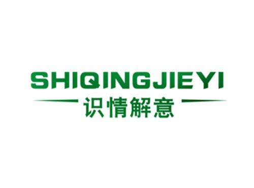 识情解意