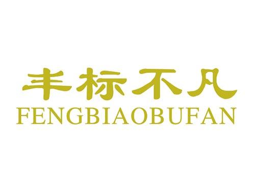 丰标不凡