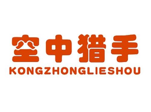 空中猎手