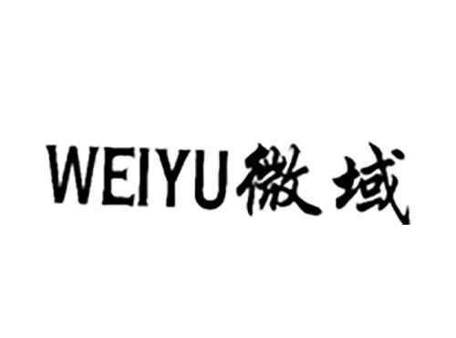 微域