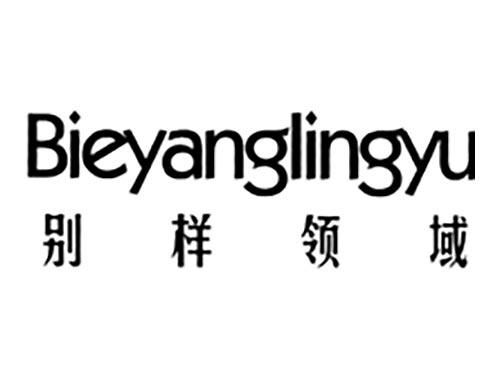 别样领域