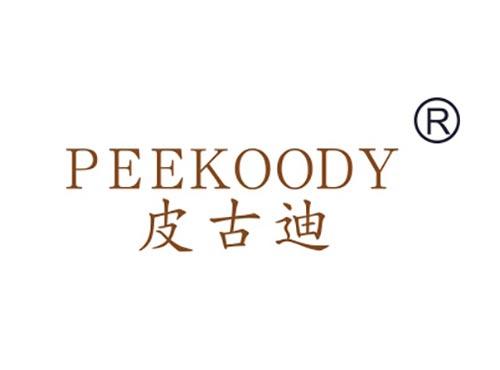 皮古迪