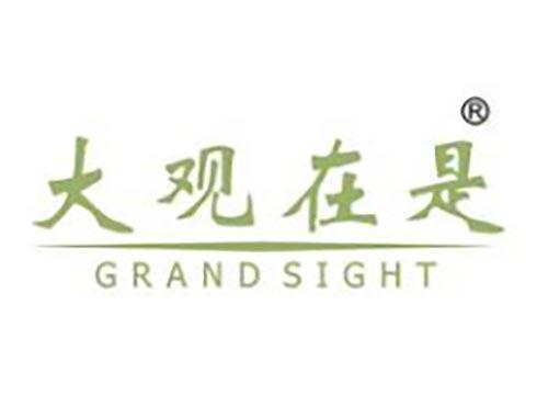 大观在是