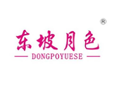 东坡月色