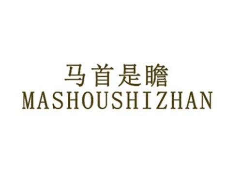 马首是瞻