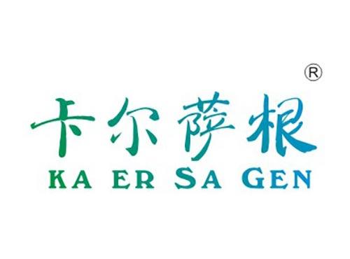 卡尔萨根