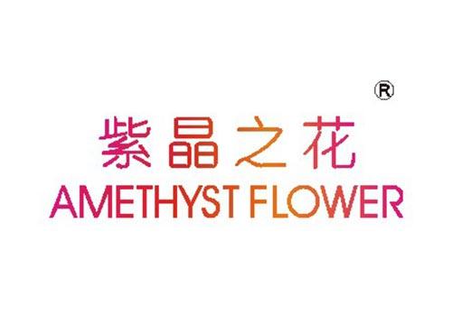 紫晶之花