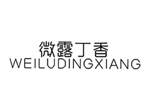 微露丁香