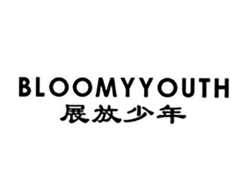 展放少年