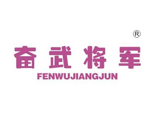 奋武将军