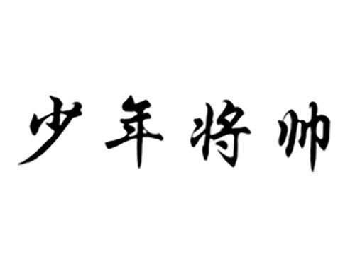 少年将帅