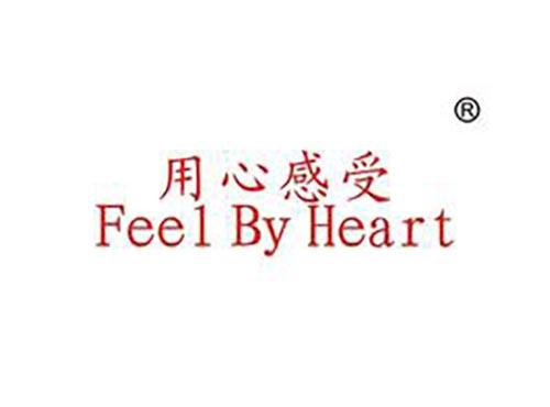 用心感受