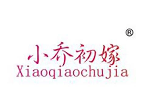 小乔初嫁