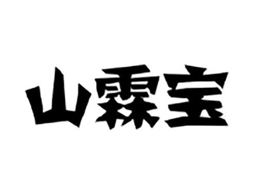 山霖宝