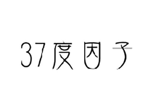 37度因子