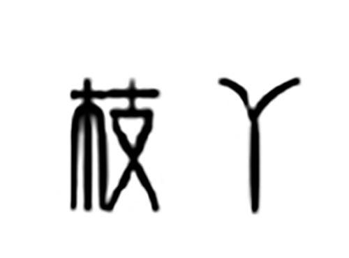 枝丫